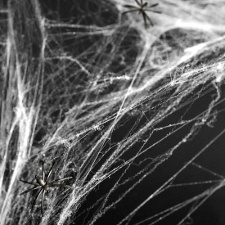 Spinnennetze