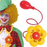 Clown Wasserblume
