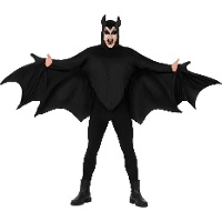 Dunkles Fledermaus-Kostüm für Erwachsene