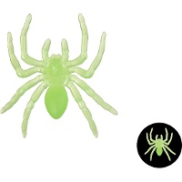 3 cm nachtleuchtende Spinnen
