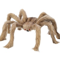 60 cm große graue Spinne