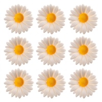 Weiße Gänseblümchen Zuckerfiguren 4,5 cm - Dekora - 48 Stück.