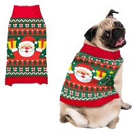 Weihnachtspullover mit Santa Claus 