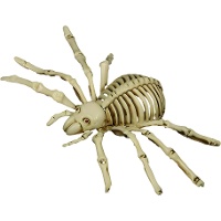 24 cm Skelett-Spinne
