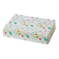 Farbige Box 23,5 x 16 x 5 cm