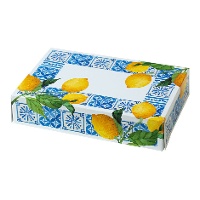 Box von 23,5 x 16 x 5 cm mit Zitronen