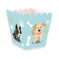 Niedrige Hundebox - 12 Stück.