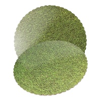 Tortenboden in Grasoptik, 25 x 25 x 0,3 cm