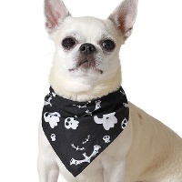 Halloween-Schädelhalstuch für Haustiere