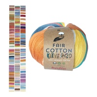 Fair Cotton Diverso, 200 g - Katia