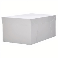 Kartonbox 45 x 35 x 20 cm für rechteckige Torte - Hilarious