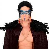 Feder-Schulterpolster - 2 Stück