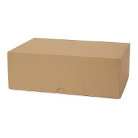 Box für 6 Cupcakes kraftfarben - 2 Stück